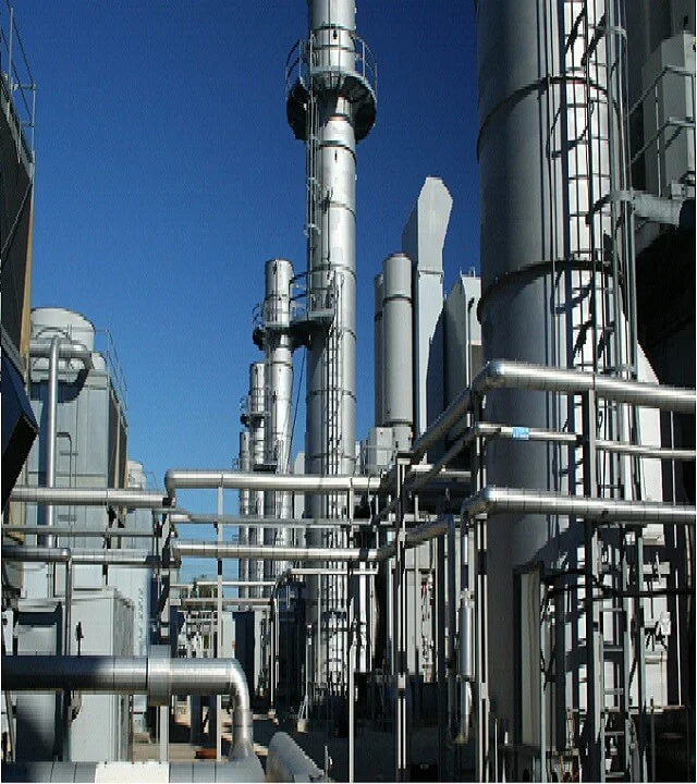 Accurate Calcium Plant​